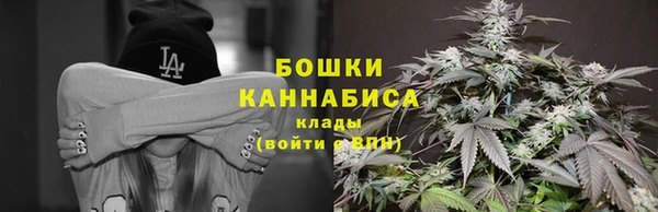 марки lsd Бородино