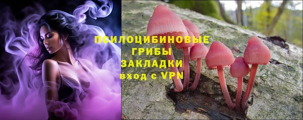 марки lsd Бородино